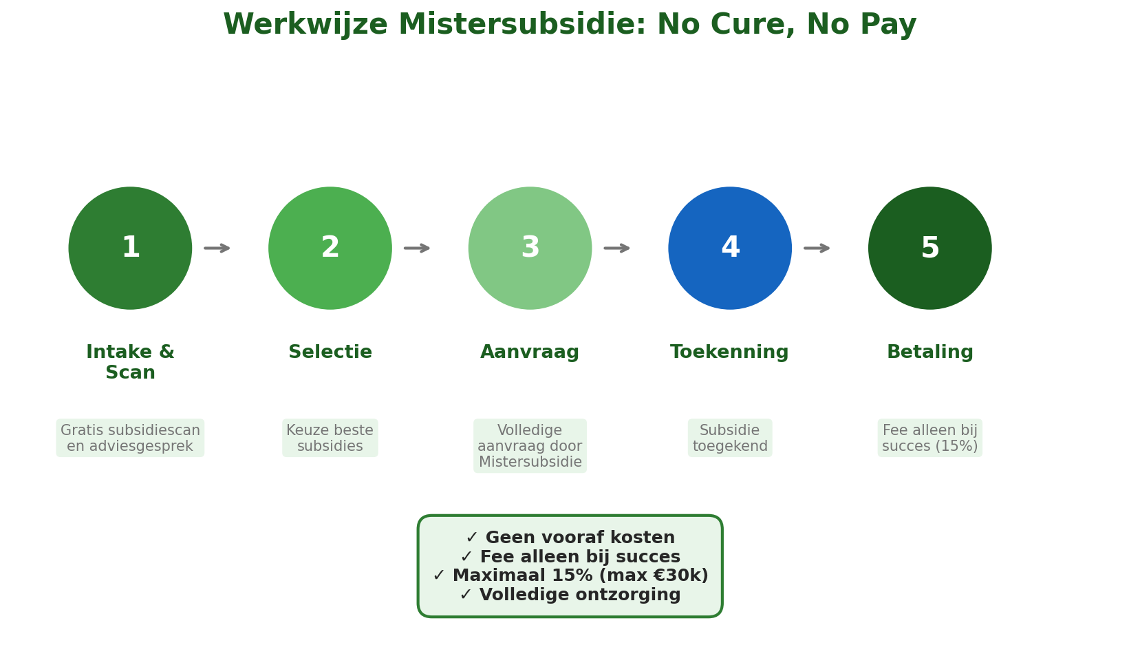Werkwijze Mistersubsidie